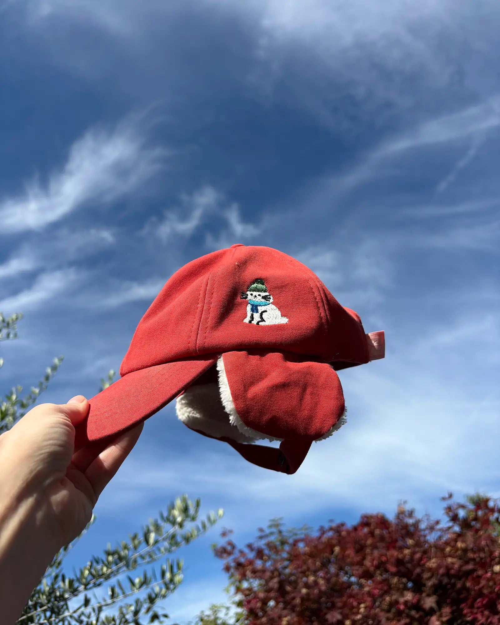 Mimi Winter Cap with Earflaps