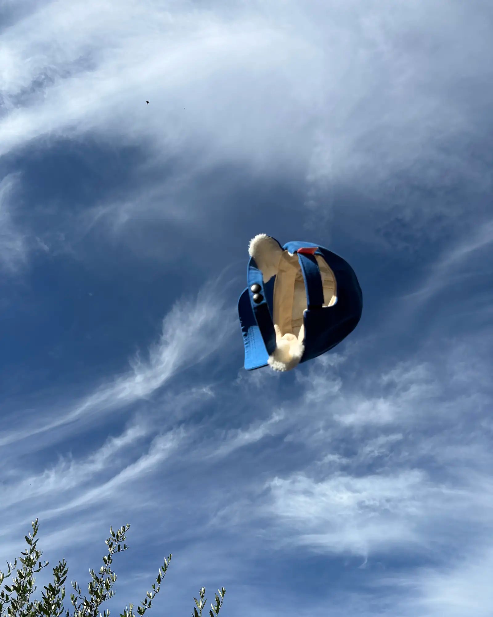 Mochi Winter Cap with Earflaps